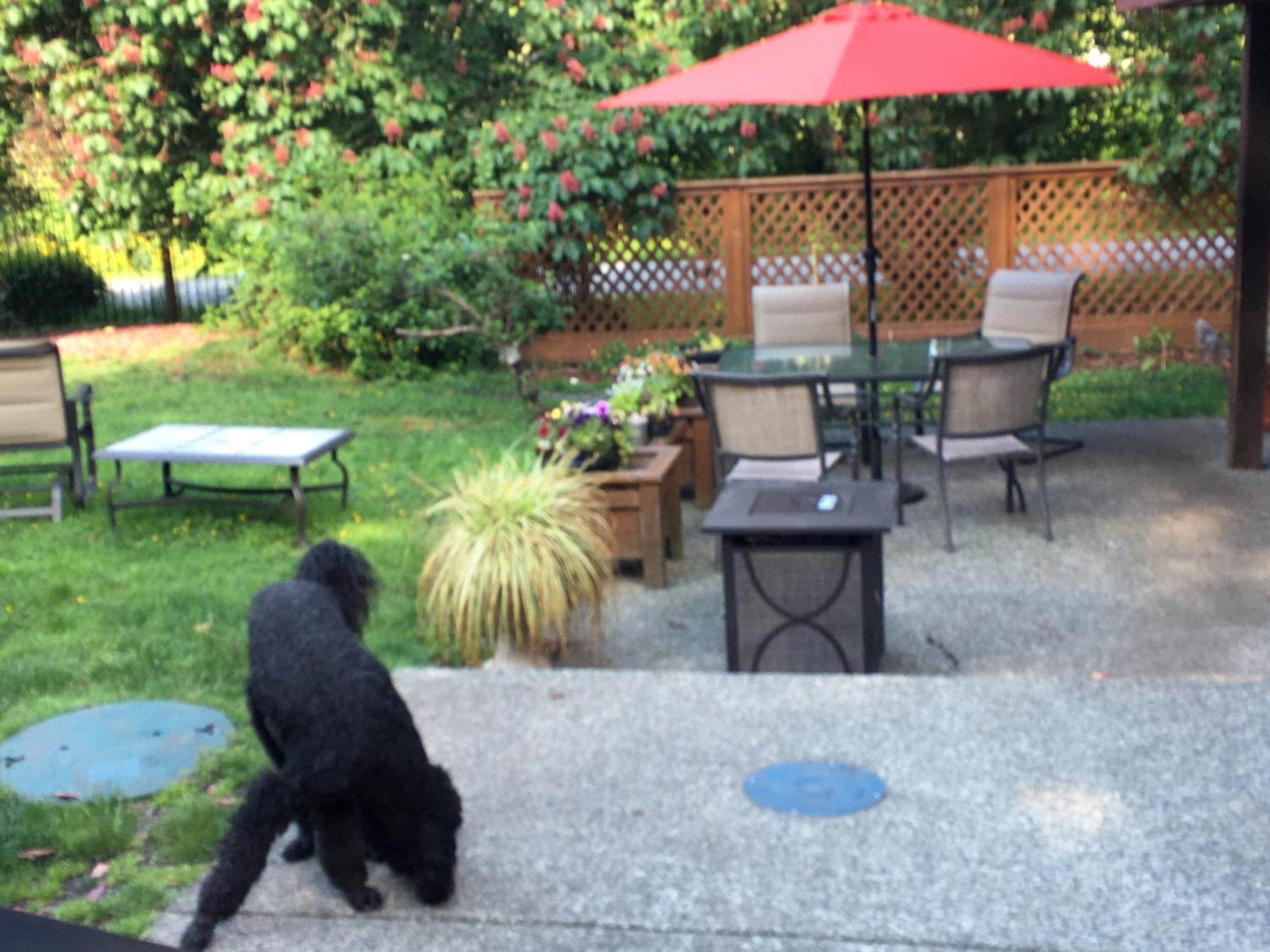 Coles Bay Vacation Retreat Villa North Saanich Bagian luar foto