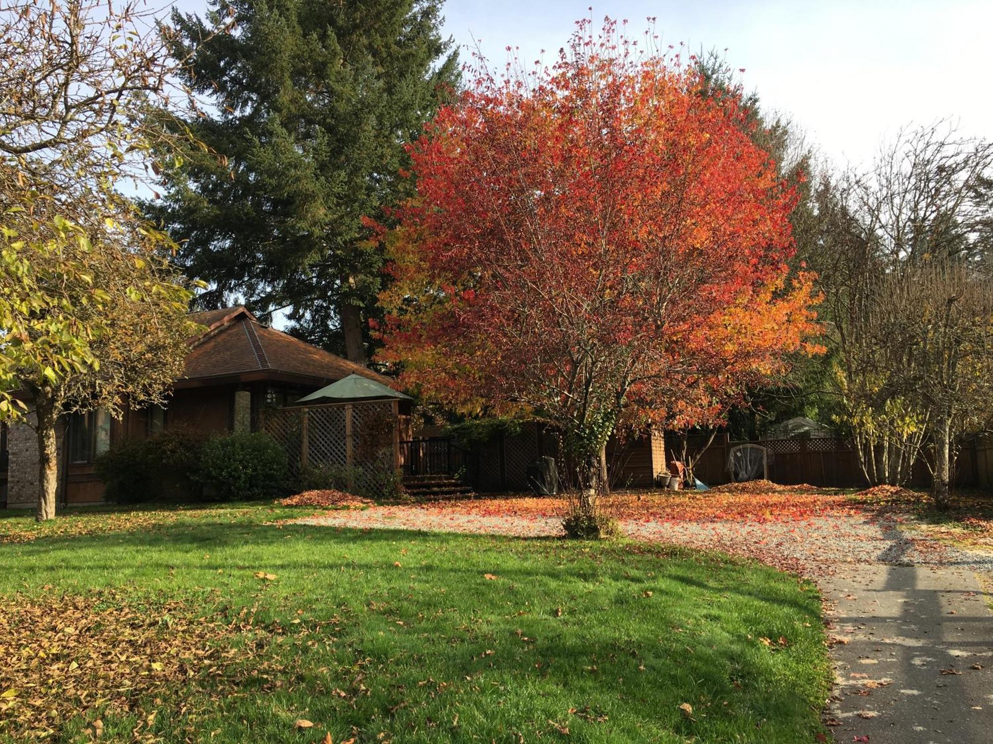 Coles Bay Vacation Retreat Villa North Saanich Bagian luar foto