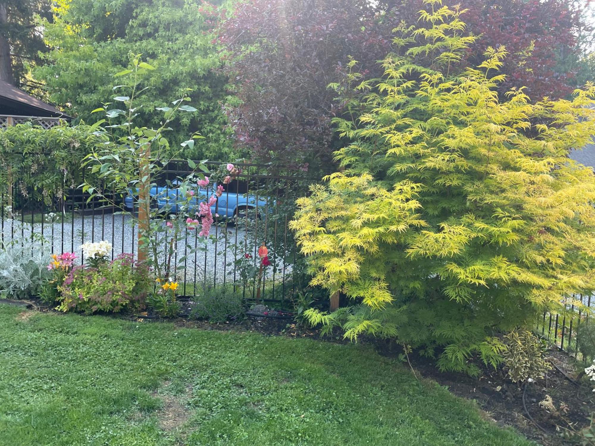 Coles Bay Vacation Retreat Villa North Saanich Bagian luar foto