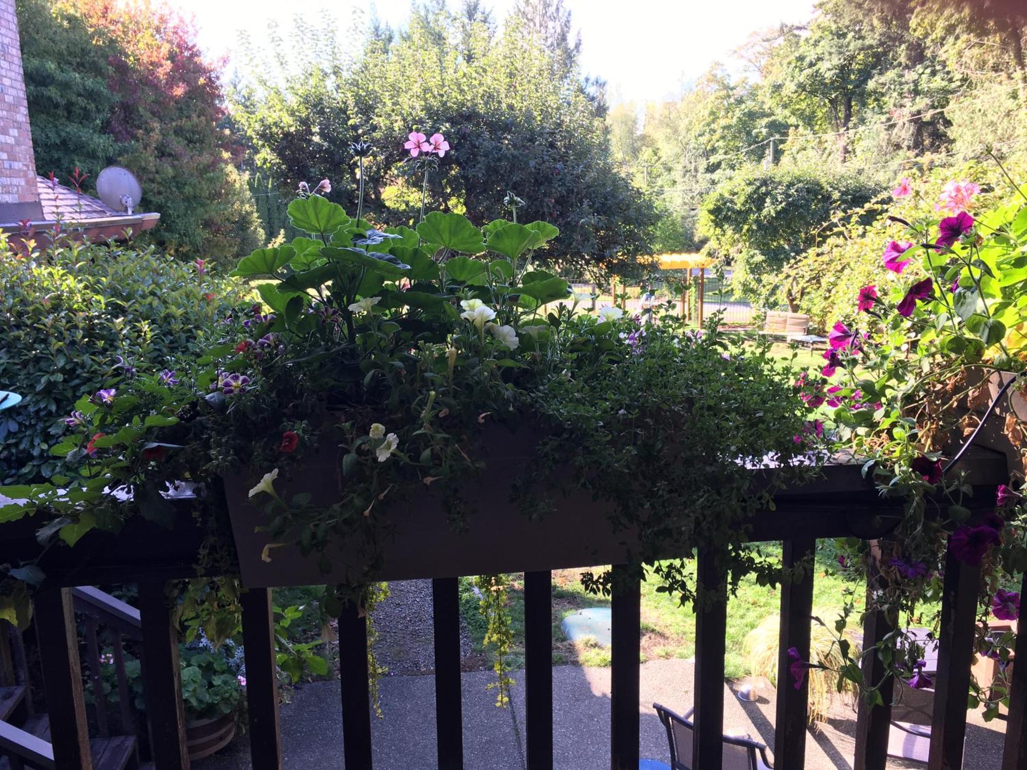 Coles Bay Vacation Retreat Villa North Saanich Bagian luar foto