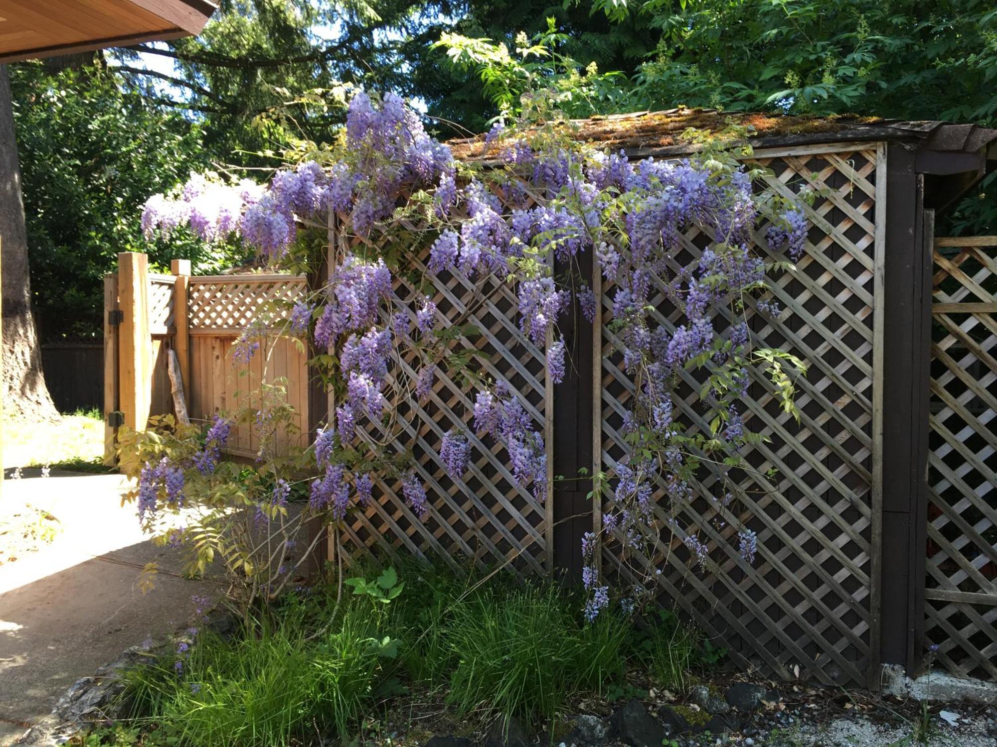 Coles Bay Vacation Retreat Villa North Saanich Bagian luar foto