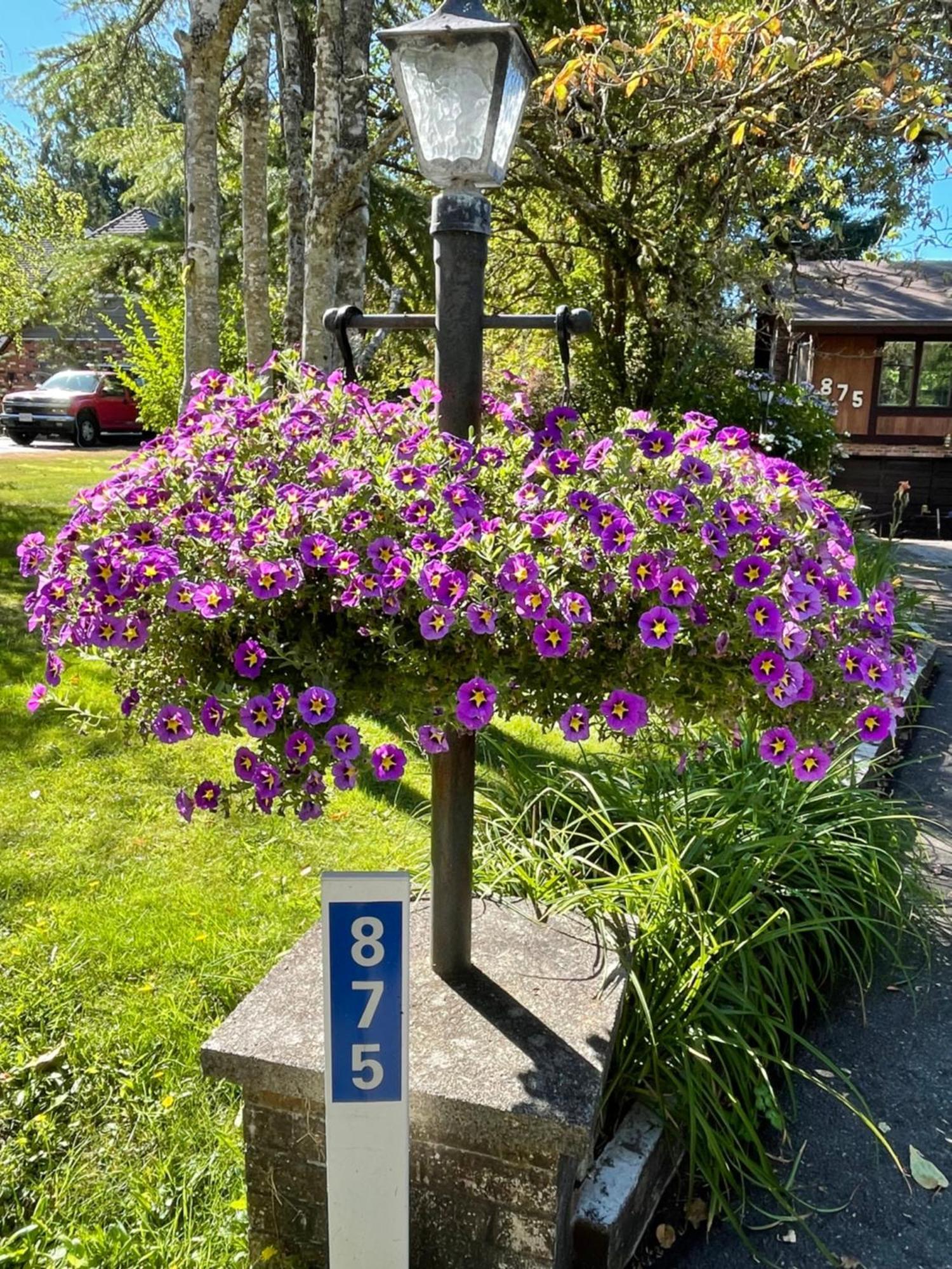 Coles Bay Vacation Retreat Villa North Saanich Bagian luar foto