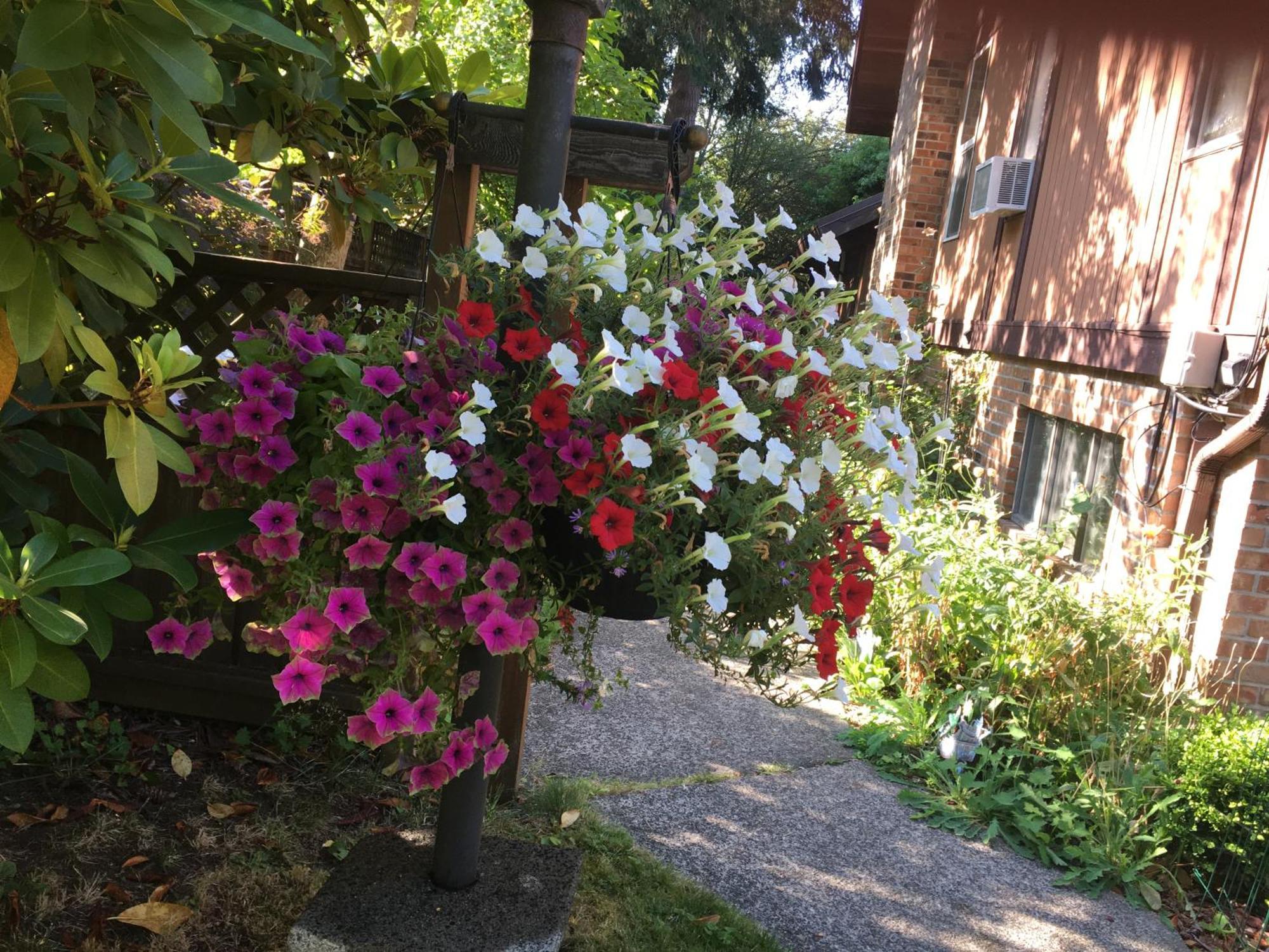 Coles Bay Vacation Retreat Villa North Saanich Bagian luar foto